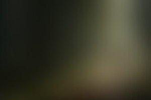 Фотография квиза Инквизиция от компании Инквизиция (Фото 1)